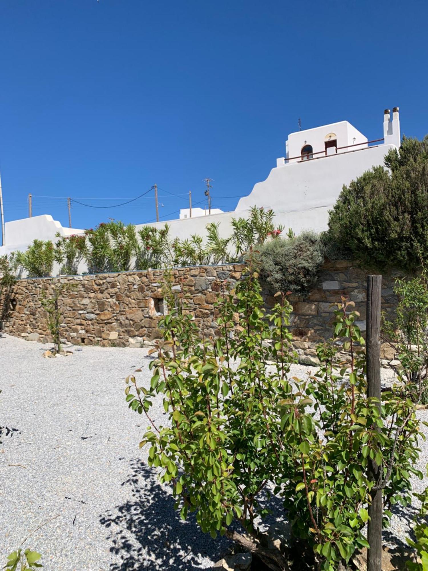 Naxos City Villa Of Roses In Naxos - Private Villa With Pool מראה חיצוני תמונה